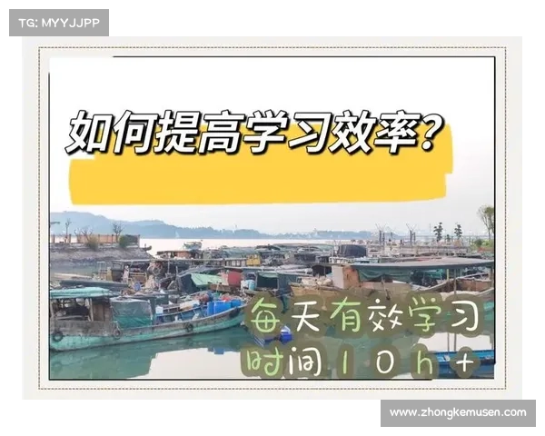 提升网络探索效率的实用技巧与方法全攻略助你快速获取信息 提升网络探索效率的实用技巧与方法全攻略助你快速获取信息